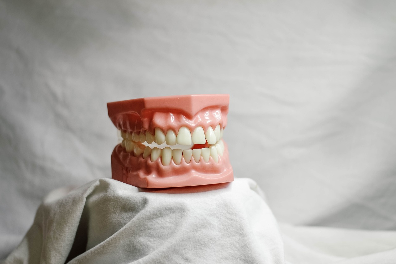 teeth, dental, dental model, mouth model, dental training tool, dentist, creepy, bite, dentistry, molar, bicuspid, mouth, teeth, teeth, dental, dental, dental, dental, dental, dentist, dentist, dentist, dentist, dentistry, dentistry, dentistry, dentistry, molar